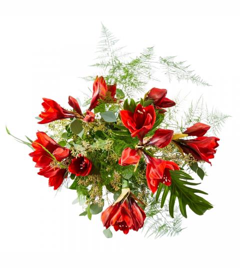 Kerstboeket Amaryllis